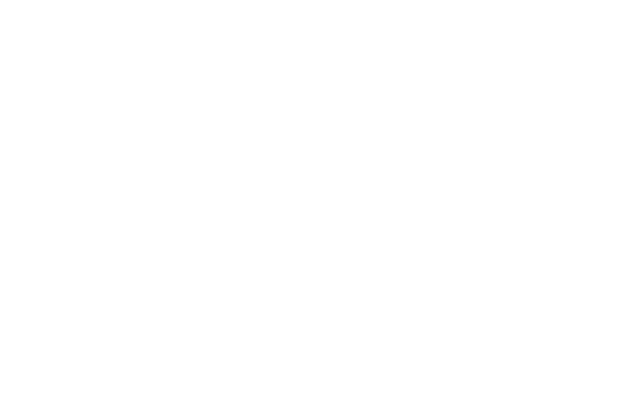 Connected points forming a liver outline
