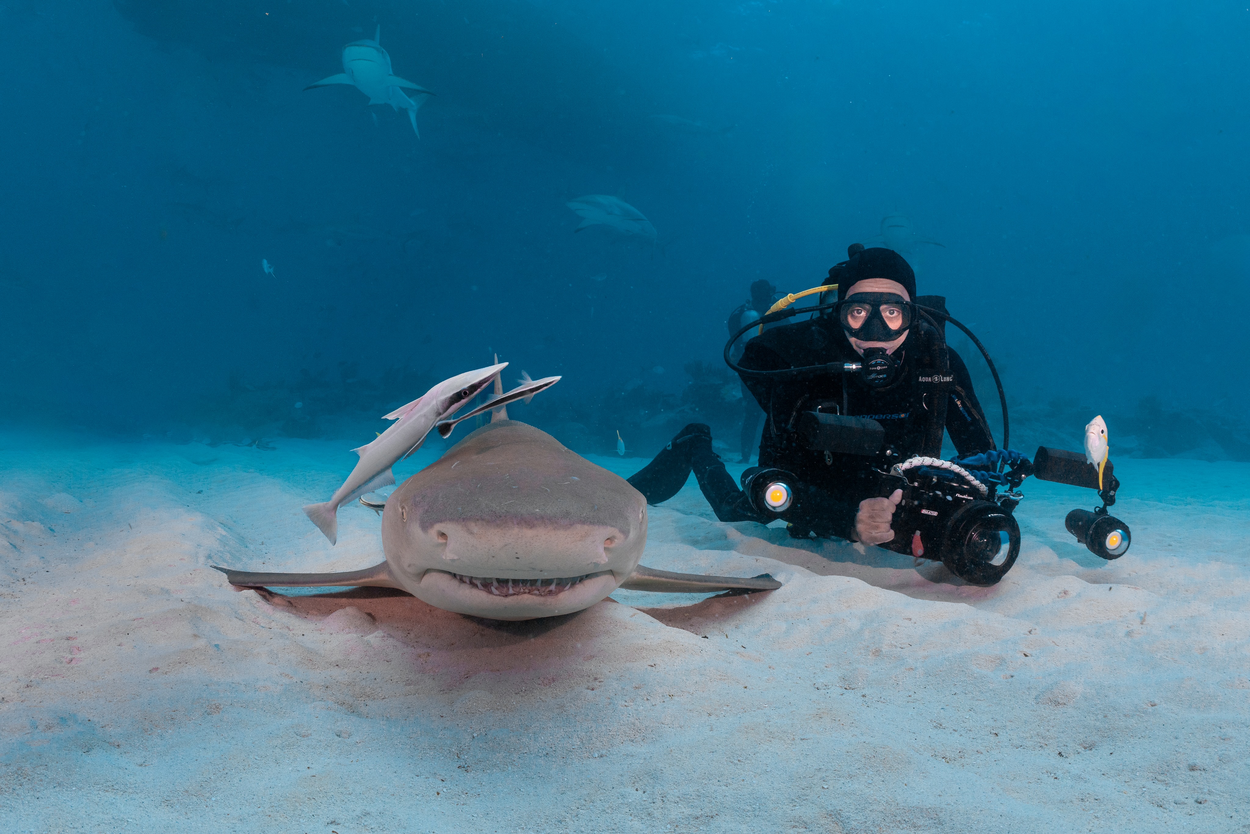 Sharks, who used to be a major source of fear for Khurram Pervaiz, M.D., H’10, are now his favorite sea creatures. Based on the wide smile sported by his selfie companion, the feeling is mutual. Contributed photo.