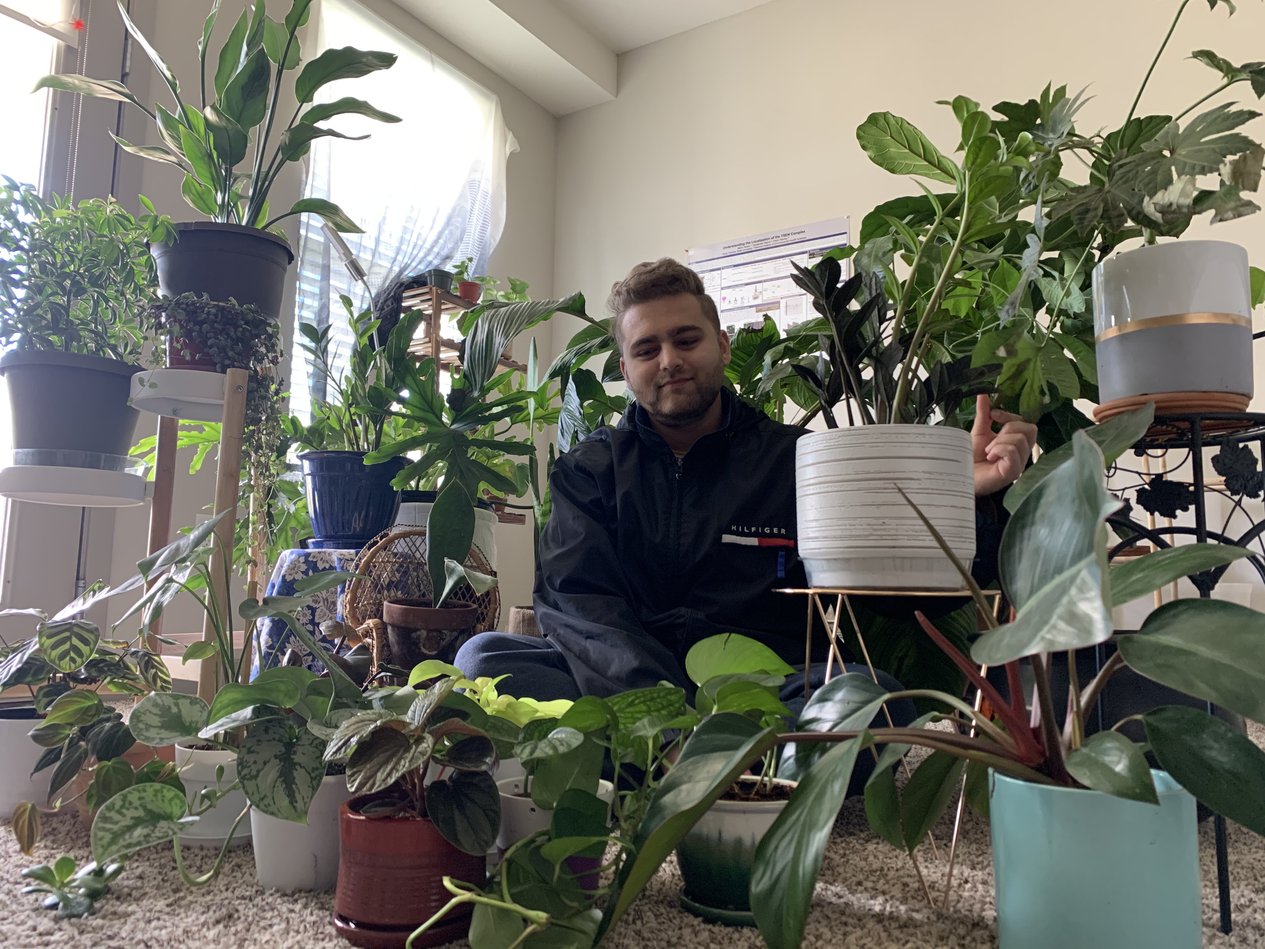  Bilal Haque owns 55 houseplants and has visited nine countries. 