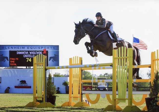  Samantha Waslewski was a Grand Prix level equestrian show jumper, representing the United States across North America. 