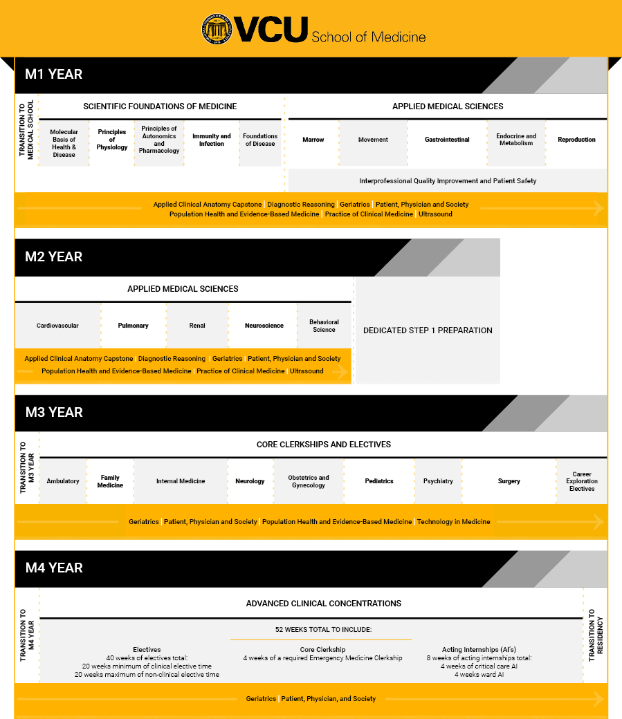 Four year curriculum graphic