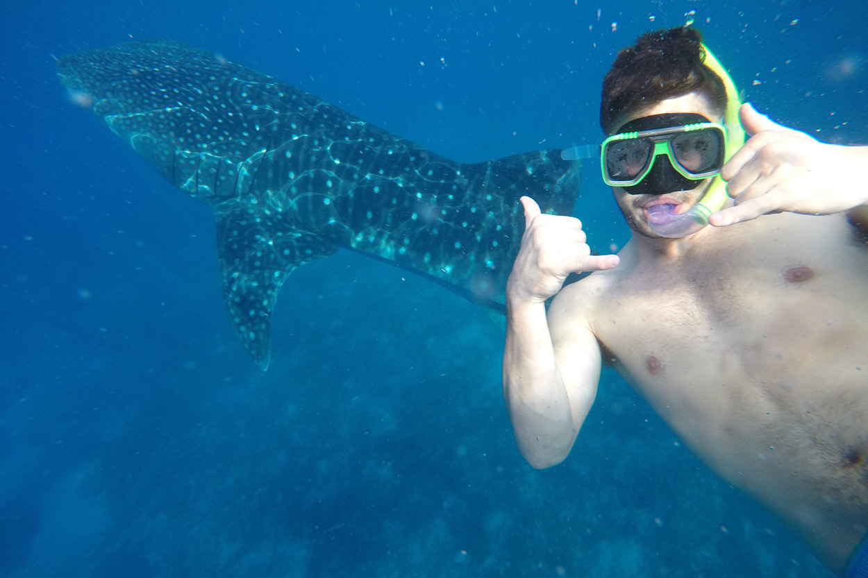  Chase Nelson swam with whale sharks in the Philippines. 