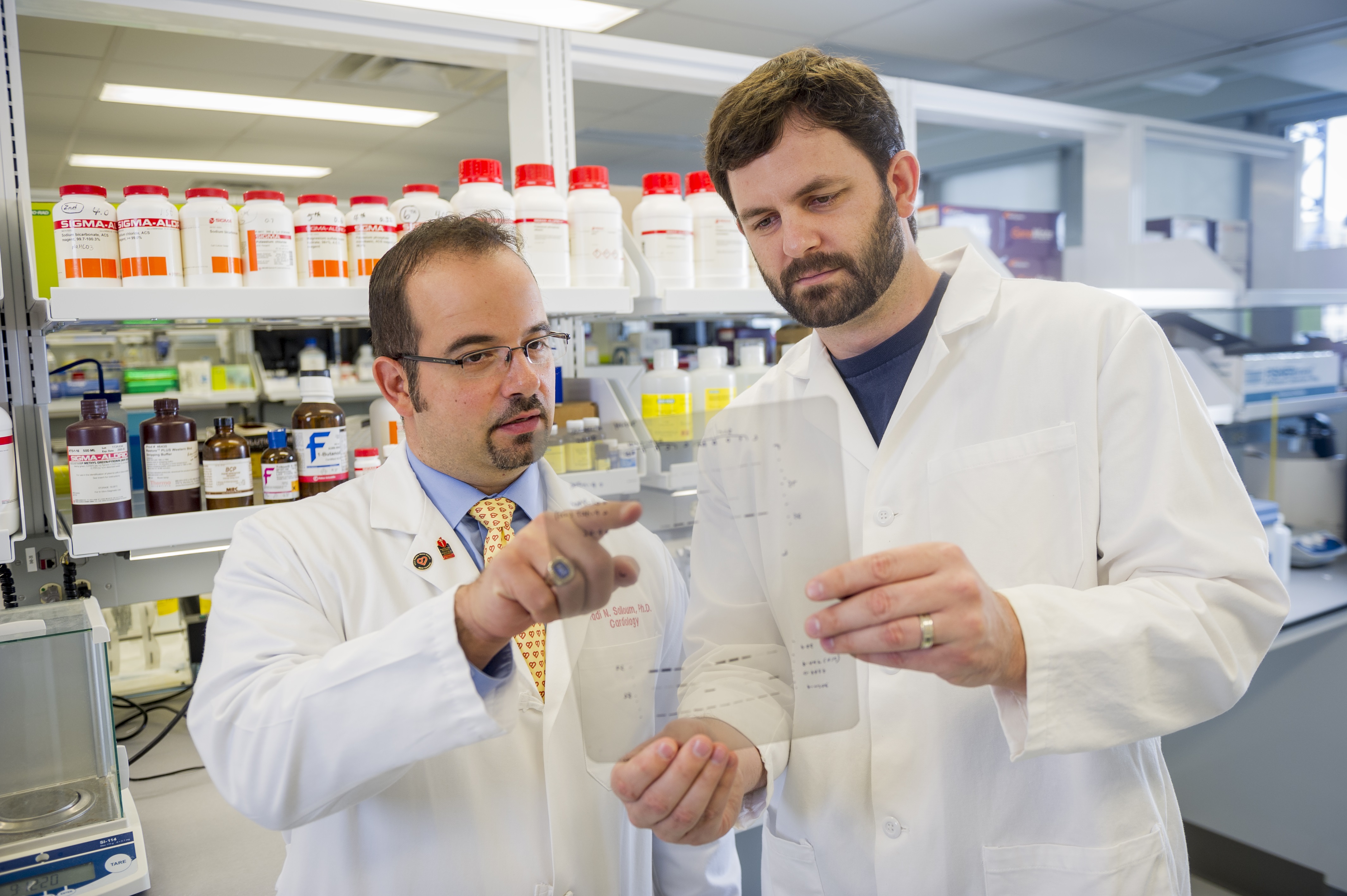 Fadi Salloum, Ph.D., and former graduate student David Durrant, Ph.D., in a lab reviewing research
