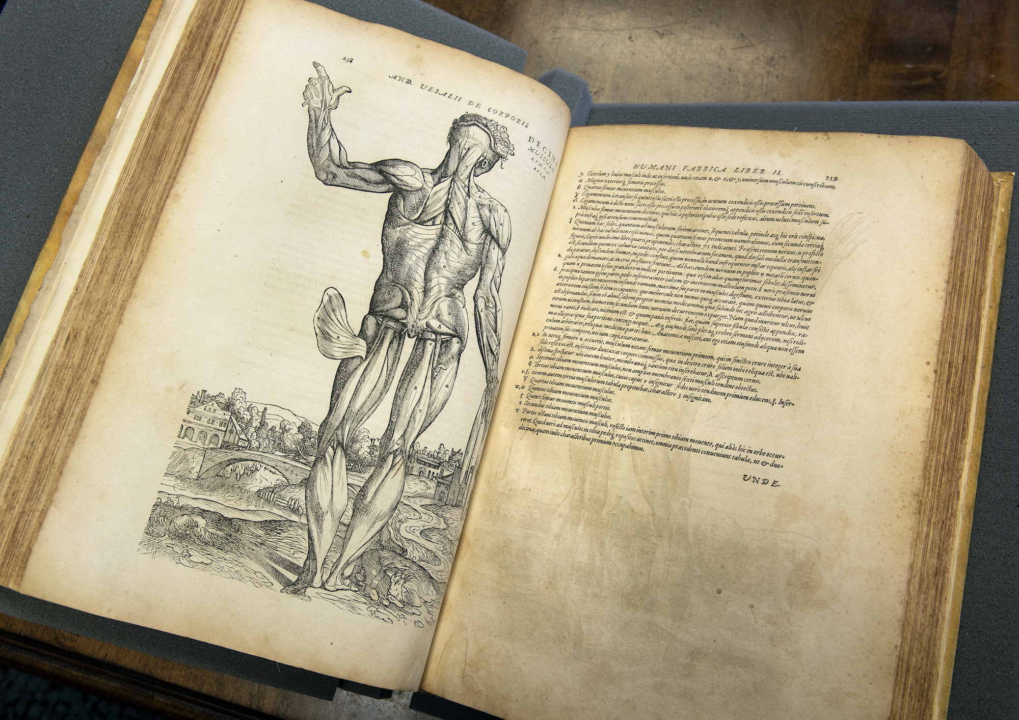 VCU Libraries acquires large collection of rare medical texts, illustrations and documents
