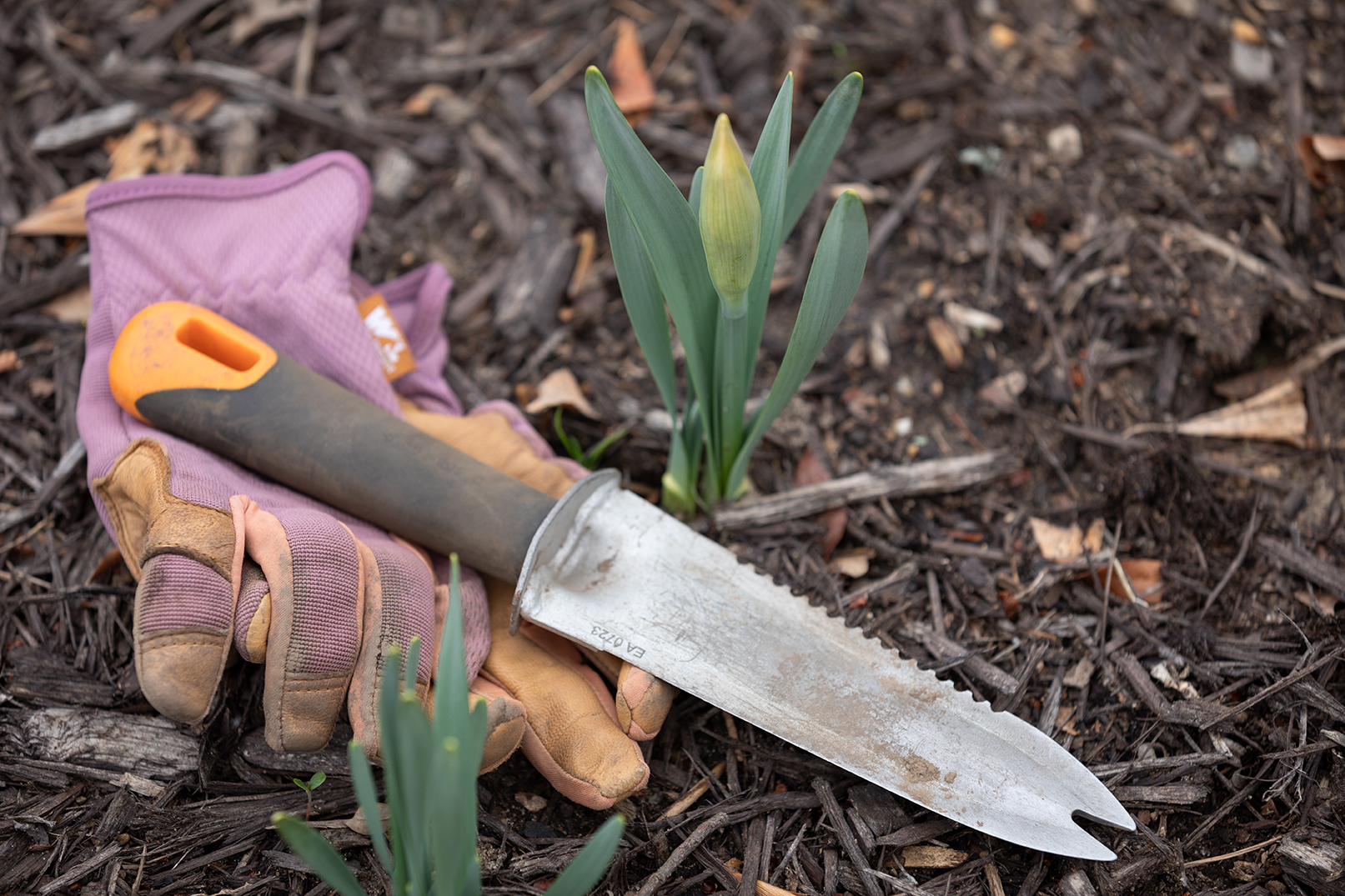 A gardening shovel sits in the dirt.