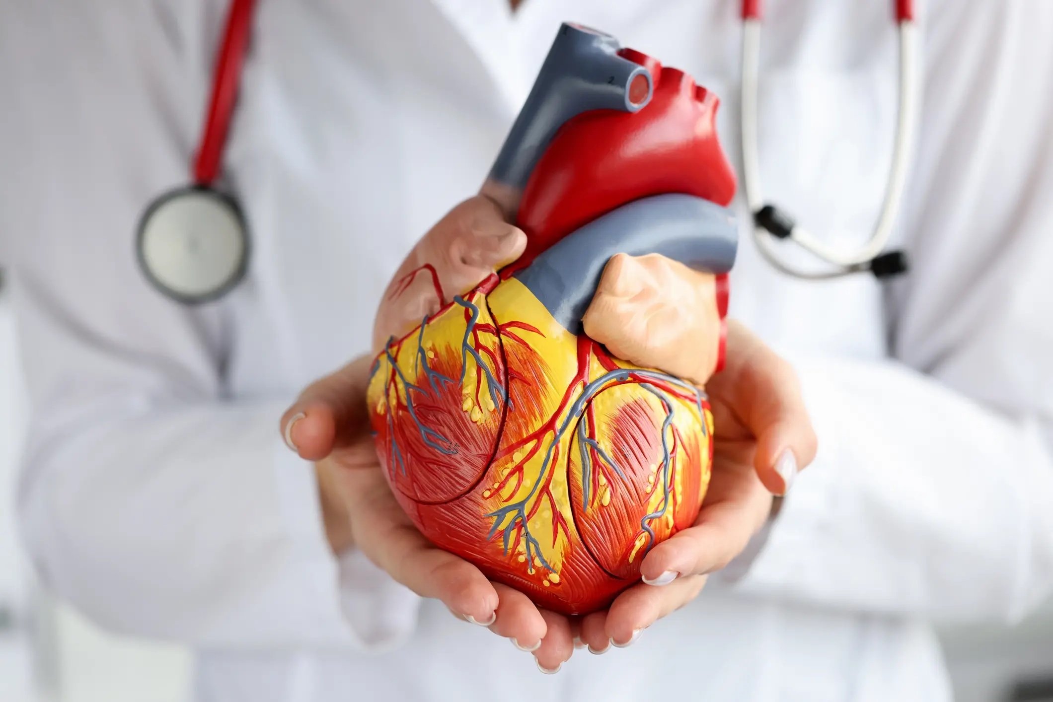 Multi-institutional project awarded $31M to study promising heart failure therapy