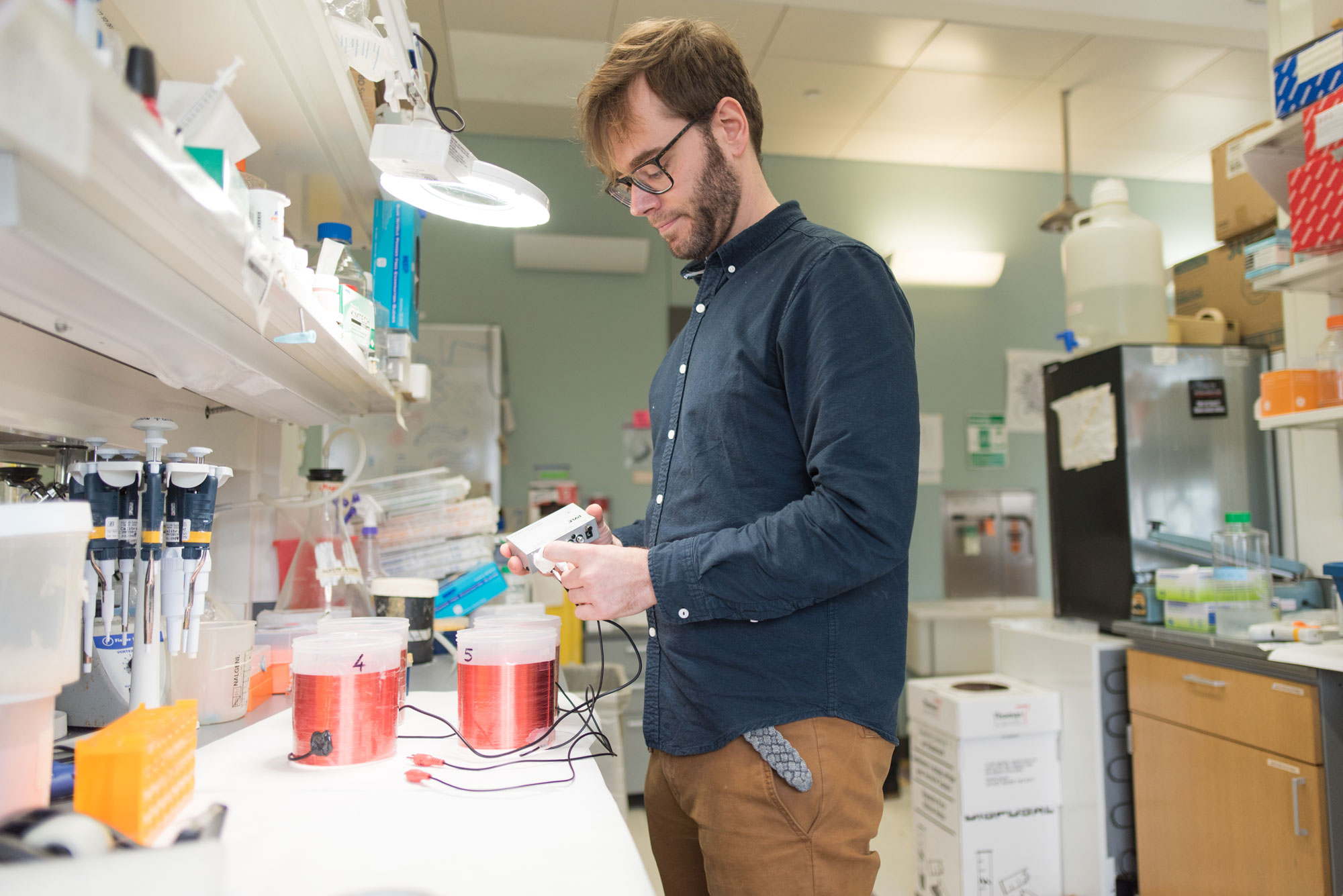 Mario de la Fuente Revenga, Ph.D., working in the lab